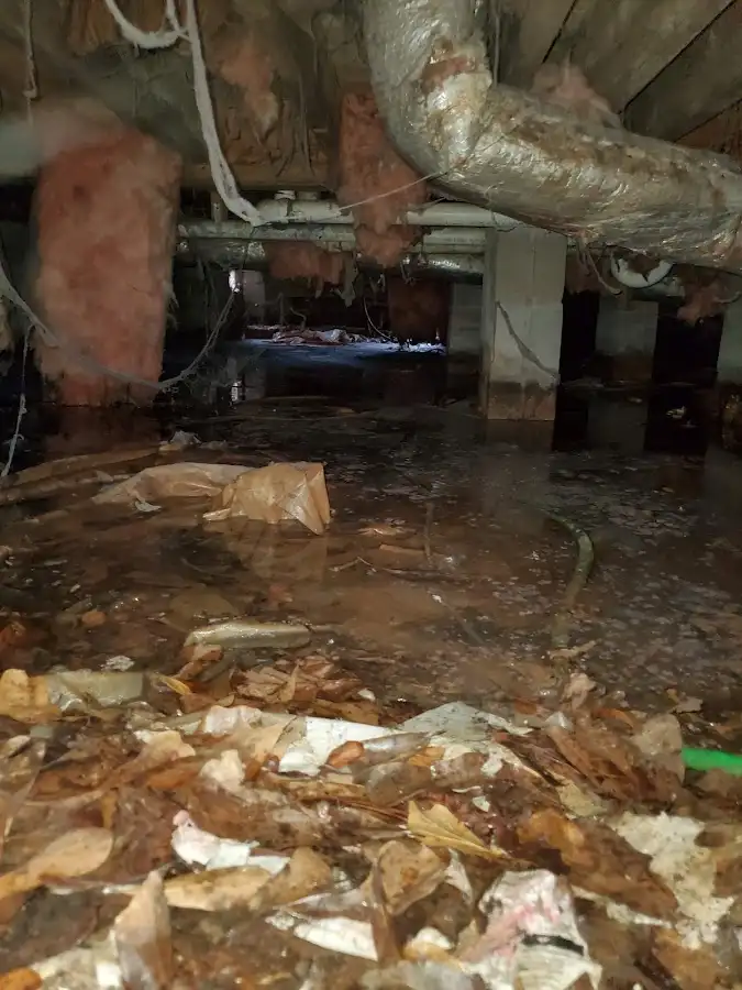 Crawl space flood assessment for Leak Detection & Repair in Salamanca